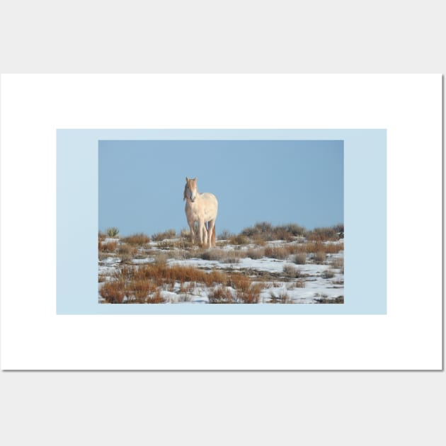 Wild horses, Arizona, nature, wildlife, gifts Wall Art by sandyo2ly